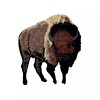 Unbranded Iron on patch applique Brown Buffalo American Bison  2-3/4" H x 3" W