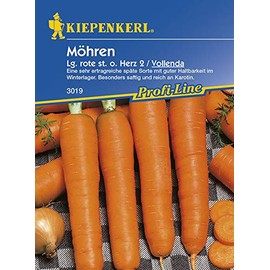 Kiepenkerl 3019 Carrot Vollenda (Carrot Seeds)