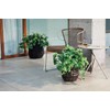 Tokyodo FG003960-zzz Artificial Flowers MAGIQ Fresh Hosta Leaf Bush, Green,