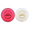 Kosma Cricket Incrediball Practice Balls (2 Pack) Real Bounce Enable