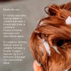 SHAMPOO WOTT MATIZADOR 300 ML (Red)