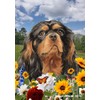 Cavalier King Charles Black/Tan - Best of Breed Spring Flowers