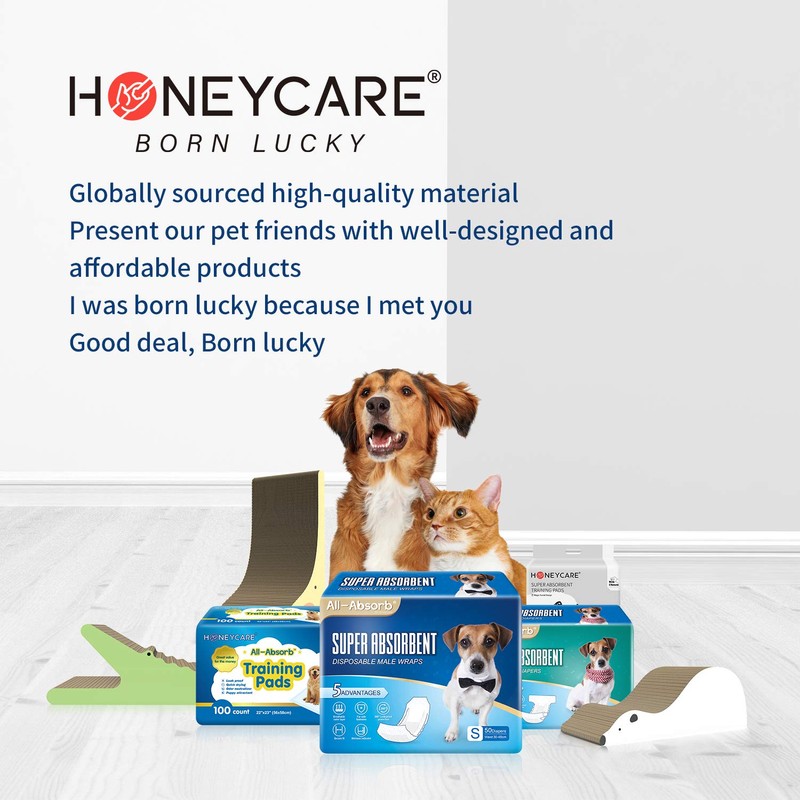 HONEY CARE All-Absorb 20 Count Cat Litter Pads, 17.1 by