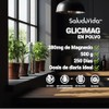 Glicinato de Magnesio en Polvo - 500 Gramos - Rinde