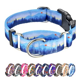 Hikiko Martingale Collar for Dogs Soft Durable Dog Collar for Small Medium Large Boy and Male Dogs No Pull No Slip Safety Buckle Dog Collars (Hill,Small)