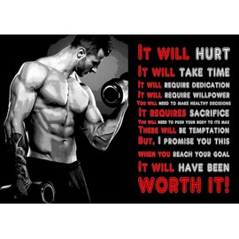 Inspirational Motivational Quote Sign Poster Print Picture(IT Will Hurt) Bodybuilding, Weightlifting, Training