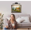 Joosenhouse Wireless Picture Light Battery Operate Library Light 15Inch 5000mAh
