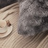 JAUXIO Faux Fur Decorative Throw Pillow Shams 2 Pack Abstract