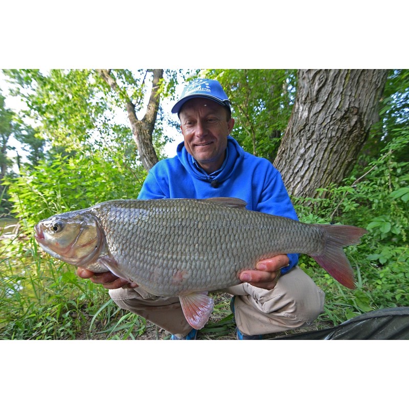 Haldorado SpeciMethod Rig7, Size 10 Barbless Hook, 8 cm Braid