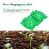 10Pcs 12cm Plant Propagation Ball Root Growing Controller Rooting Germination