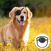 Dog Eye Patch, Adjustable Small Dog & Cat Protective Eye