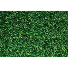 Pnylzzyxh Green Leaves Backdrop Greenery Leaf Wall Backdrop Wedding Birthday Party Baby Shower Bridal Shower New Year Theme Party Decorations Banner Photography Background Studio Props 10x10ft