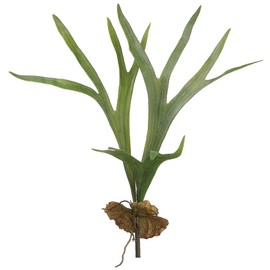 SilksAreForever 22.5" Artificial Staghorn Plant Fern Stem -Green (Pack of 6)