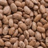 Mountain Valley Seed Co Pinto Bean Seeds 25 Lb Bulk