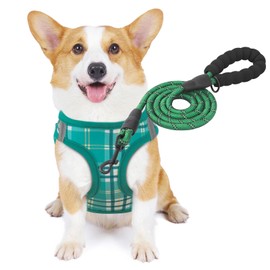 MoNiBloom No Pull Dog Harness w/Leash Set, Reflective Soft Puppy Padded Vest for Walking, Training, Easy to Put on Medium Dogs - Lawn Green, M