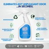 Whip-It Odor Bully Instant Odor Neutralizer Spray - Stain Remover