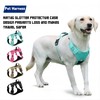 Waterproof and Breathable Dog Harness Sized, No Pull Pet Harness,