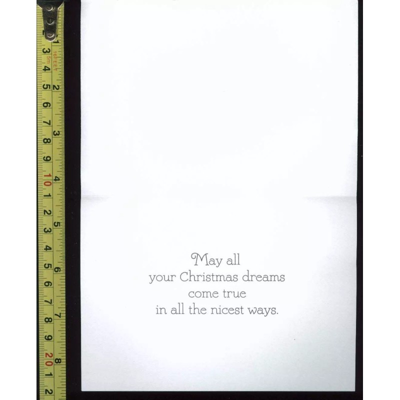 Mice sleeping on Santa hat Christmas card #72 - 1