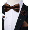 Ailisus Brown Bow Ties for Men Pre-tied Silk Bowtie and