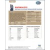 Pentosin Aceite de Transmisión CVT-1 1120107, 1 L