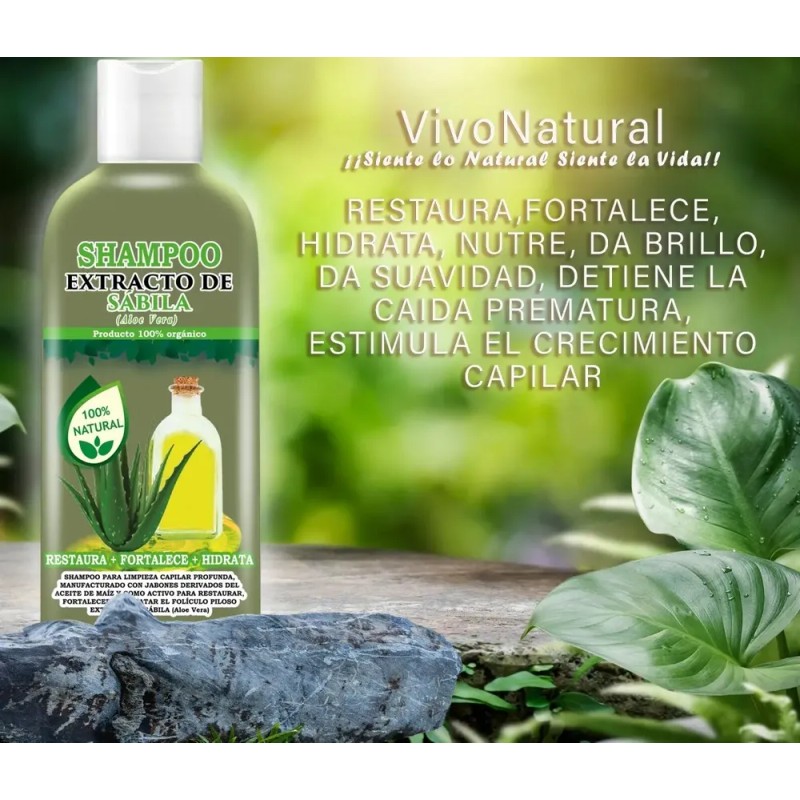 Shampoo Aceite De Bergamota 1l + Shampoo Extracto Sabila 1l