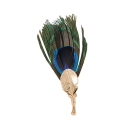Peacock Feather Brooch Pin for Women Girls Fashion Artificial Blue Green Bird Animal Statement Brooches Lapel Pins Elegant Hat Bag Suit Dress Accessories Wedding Christmas Birthday Jewelry Gift Box