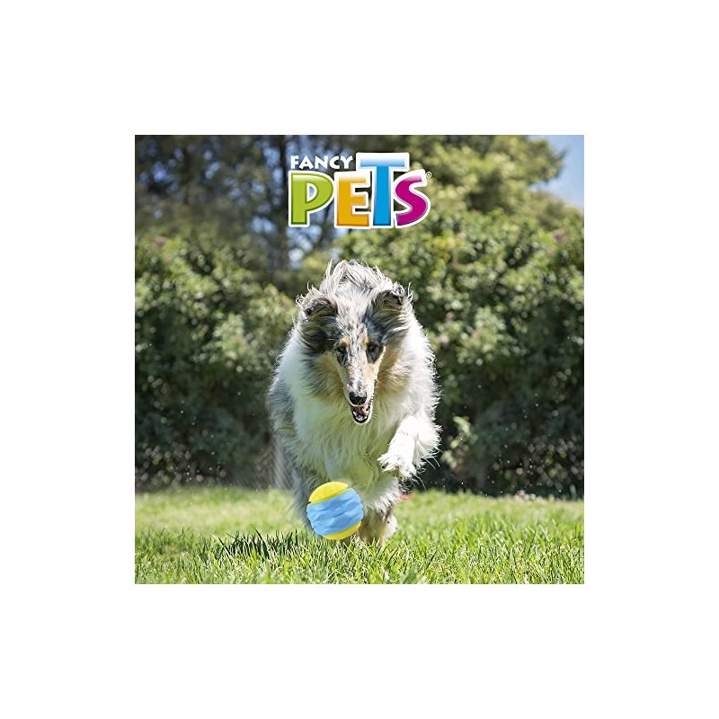 Fancy Pets Pelota Fetch Curvy Color Azul con Sonido para
