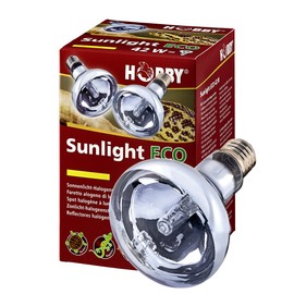 Hobby Sunlight Eco