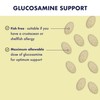 Higher Nature - Glucosamine HCl Complex - High Strength -