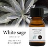 Natural 100% Essential Oil (10ml, White Sage)