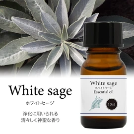 Natural 100% Essential Oil (10ml, White Sage)