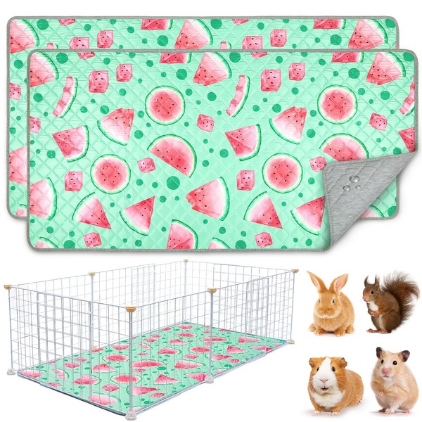 BeBeJoJo Pack of 2 Reusable PIPI Pads for Guinea Pigs,