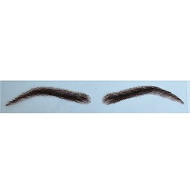 AIRAO Swiss Lace Base Human Hair Eyebrows 1 Pair Style 4#2(Darkest Brown)