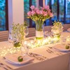 Clearhill 2Pack USB Fairy Lights with Remote Control, 20ft/6M 200LED