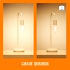 WiZ Clear 60W G25 Tunable White Filament LED Smart Bulb