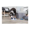 Trixie Dog Activity Gambling Tower, 25 × 27 cm, All