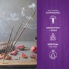 HEM Incense Sticks Economy Set of 6 Packs of 20