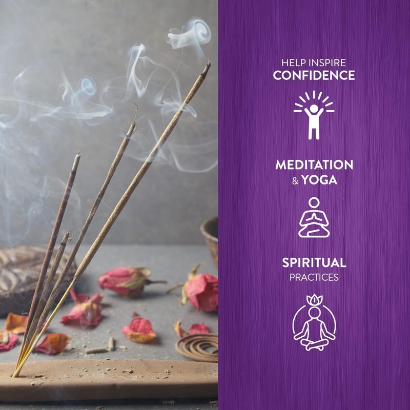 HEM Incense Sticks Economy Set of 6 Packs of 20