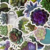 Undisclosed 100pc 1.5" Succulent Plant Cactus Stickers for Notebooks Water
