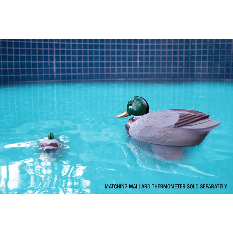 Poolmaster Adustable Chlorine Dispenser for Swimming Pools and Spas, Mallard