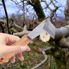 Housoutil Hand Tools Draw Shave Tool Bark Spud Debarking Tool