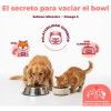 Super Salmon Oil Islandia | Omega-3 Perros Y Gatos 500ml