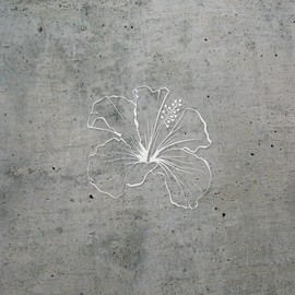 Decal Stickers of Hawaiian Hibiscus Outline Laser (White) (Set of 2) Premium Waterproof Vinyl Decal Stickers for Laptop Phone Accessory Helmet Car Window Mug Tuber Cup Door - ANDstic603105WH