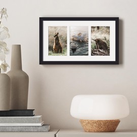 upsimples 8x14 Collage Picture Frame, Display Pictures 3 4x6 with Mat or 8x14 Without Mat, Wall Hanging 3 4x6 Picture Frame Collage Wall Decor, Black, 1 Pack