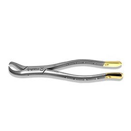 Cynamed Dental Extraction Forceps, 23, Fen, Premium Stainless Steel