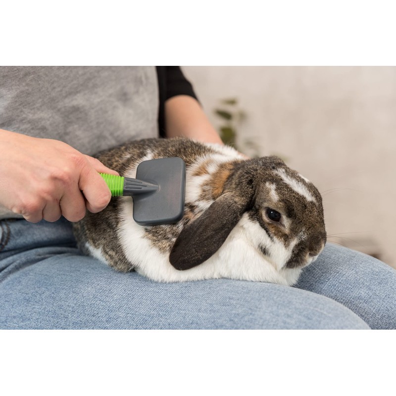 Pet Brush & Comb Set Foor Rabbit & Guinea Pig