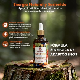 PoderFunga - Tintura Adaptógena de Doble Extracción Cordyceps, Reishi, Melena de León Apoyo a Energía Sostenida, Enfoque y Resistencia Física Sin Cafeína ni Azúcar 30ml