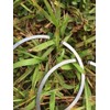 Caber Piston Rings 48mm x 1.2mm Fits Stihl MS360 and