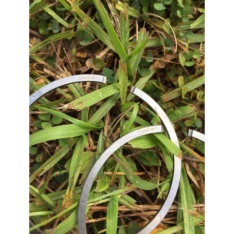 Caber Piston Rings 48mm x 1.2mm Fits Stihl MS360 and