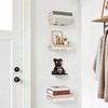 STORAGE MANIAC Floating Book Shelves for Wall Mounted Invisible Floating